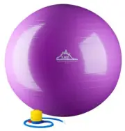2000lbs Static Strength Exercise Stability Ball with Pump 45cm (Purple)