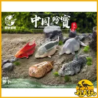 在飛比找露天拍賣優惠-《阿寶模型》動物星球心寬體胖中國的珍寶長江篇揚子鱷大鯢白鰭豚