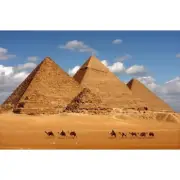 EGYPTIAN MUSK Fragrance Oil for making Candles, Soaps, Wax Melts etc.