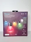 Govee Lynx Dream WIFI 48ft LED Bulb String Lights w/ Voice Control H7028 NEW