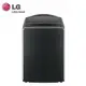【LG 樂金】 19公斤AI DD變頻直立式洗衣機WT-VD19HB(極光黑)