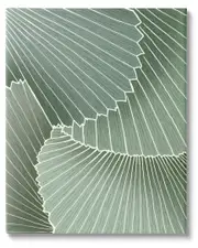 Modern Abstract Patterned Leaves Canvas Wall Art by Ziwei Li