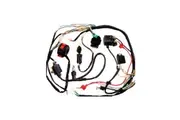 Full Electrics wiring harness coil CDI 50/70/110cc atv quad Bike Buggy go kart