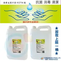 在飛比找蝦皮購物優惠-恆安潔淨寧乾洗手4000ml/瓶(一加侖) 酒精 消毒 殺菌