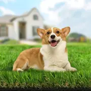 GREENYHAVEN Premium Artificial Grass for a Effortless Yard