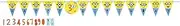 Despicable Me Jumbo Add-An-Age Banner