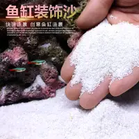 在飛比找淘寶網優惠-菲律賓沙貝殼白細沙珊瑚砂魚缸裝飾造景海缸三湖慈鯛魚寄居蟹底沙