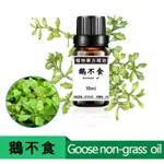 【宜家工坊】鵝不食草精油 植物單方精油 10ML  30ML 50ML 100ML