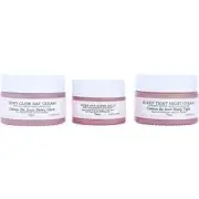 Day To Night Glowing Skin Trio: Dewy Glow Day Cream 1oz + Under Eye Super Jel...