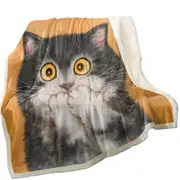 Funny Painted Cats Grey Kitten in Shock Throw Blanket