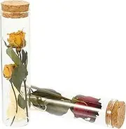 Cabilock 2pcs Dried Flower Wishing Bottle I Decorative Dried Bottles Dry Vial Flowers Apothecary Mini Wishing Glass Jar Decorative Container Glass