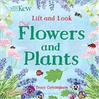 在飛比找三民網路書店優惠-Kew：Lift and Look Flowers and 