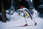 Sven �ke Lundb�ck Mens 50 kilometre skiing event at Seefeld a- 1976 Old Photo