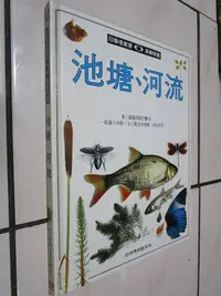 在飛比找Yahoo!奇摩拍賣優惠-典藏時代---書如照片--- 目擊者叢書 漢聲精選1本