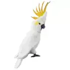 Hansa - Citron Crested Cockatoo - Realistic Bird Animal Stuffed Plush Toy - 34cm