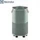 Electrolux 伊萊克斯 EP71-56GRA 空氣清淨機 Pure A9.2 高效能抗菌 海洋綠 適用22坪