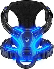 Villabliss Light Up Dog Harness - LED Dog Harness Rechargeable for Night Walking, Three Lighting Modes, Flashing for More Than 20 Hours, Oxford Cloth(Blue/X-Large)
