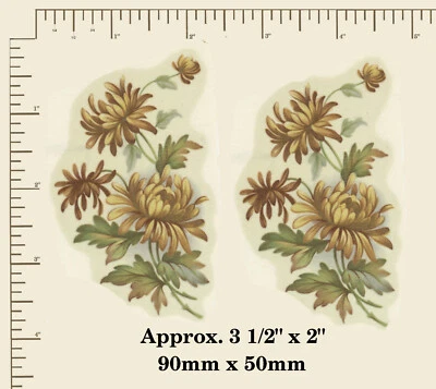 2 x Waterslide ceramic decal CHRYSANTHEMUMS Flowers Floral 3 1/2" x 2" PD417