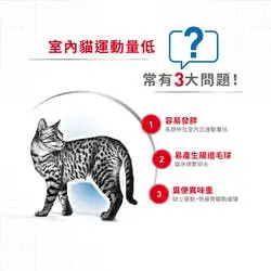 @呆呆寵物@法國皇家貓飼料IN27室內成貓10kg限量10包