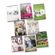 Conf. Pack of 10 Maxi Notebooks A4 Sweet Cuddles 02307694M