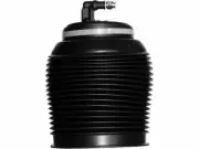 For 2002-2009 Toyota Land Cruiser Air Spring Rear Right Unity 94555JB 2003 2004 (for: Toyota)