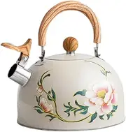 Alasum Stove Tea Kettle Water Boiling Kettle Stove Top Boiling Pot Induction Cooker Water Pot Stainless Steel
