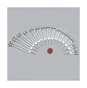 Human Organ Tuning Fork Set