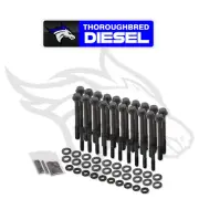 Earl's TBS-002ERL Head Bolt Set - 12-Point - for GM LS Engines 2004-2014