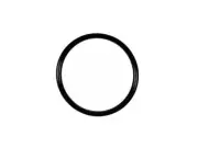 For 1974-1981 Volkswagen Dasher Thermostat Gasket 64283JYSS 1975 1976 1977 1978 (for: Volkswagen)