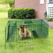 NNEDPE Humane Live Animal Trap Possum Rat Rabbit Hare Catcher Folding Cage