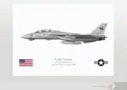 Warhead Illustrated F-14D Tomcat VF-31 Tomcatters Aircraft Print