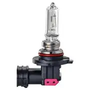 Ignite HB3 60W Halogen Globe with P20D Base - Pack of 1 - IGL2502BL