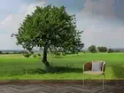 3D Grassland Tree Wallpaper Wall Mural Removable Self-adhesive 999