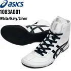 ASICS Wrestling Shoes 1083A001 EX-EO TWR900 White Navy Silver Japan