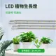 T5 可定時 可調光 LED 植物生長燈