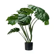 Tall Artificial Monstera