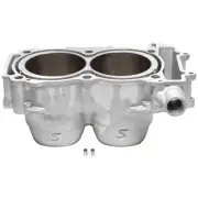 Polaris 1000 RZR RS1 2019 Cylinder Works STD Bore