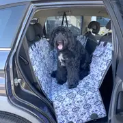 Dog Hammock Back Seat Cover - Noosa Nights - Car 2-in-1 System