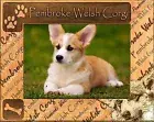 Pembroke Welsh Corgi Laser Engraved Wood Picture Frame (5 x 7)