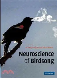 在飛比找三民網路書店優惠-Neuroscience of Birdsong