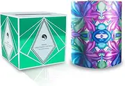 Vellen Hair Embossed Aluminium Hair Foil Roll, Hair Foils for Highlighting, Non-slip Textured – 185meter (Venera Leaves)