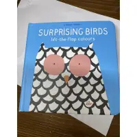 在飛比找蝦皮購物優惠-Surprising birds lift the flap