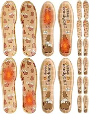 Heated Insoles, Winter Outdoor Sports Insoles, Thermal Boot Insoles, Heated Foot Warmers, Winter Heating Insoles, Heated Boot Insoles, Foot Warmers for Skiing