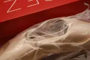 NIB Capezio Kylee Pointe Shoe 1140W PTP 8 M Not Returnable