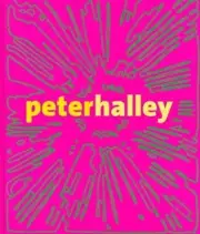 PETER HALLEY:MAINTAIN SPEED~Susan Kandel~Sealed Hardcover~BRAND NEW~Gift Quality