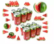 Vimto Watermelon Sparkling Soda Drink Pack in 2 cases 6 Cans 12fl.oz/355mL each