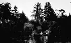 Creswick Victoria 1935 People rowing Australia OLD PHOTO