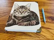 Tabby Cat Fabric Covered Hardcover Professional Notebook Journal, Lined