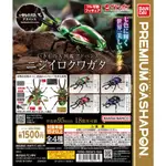 𓅓MOCHO𓅓 現貨 BANDAI PREMIUM 扭蛋 生物大圖鑑進擊-彩虹鍬形蟲 全4種