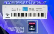 KORG KROSS2 61 (KROSS2 61 SC Limited edition white)